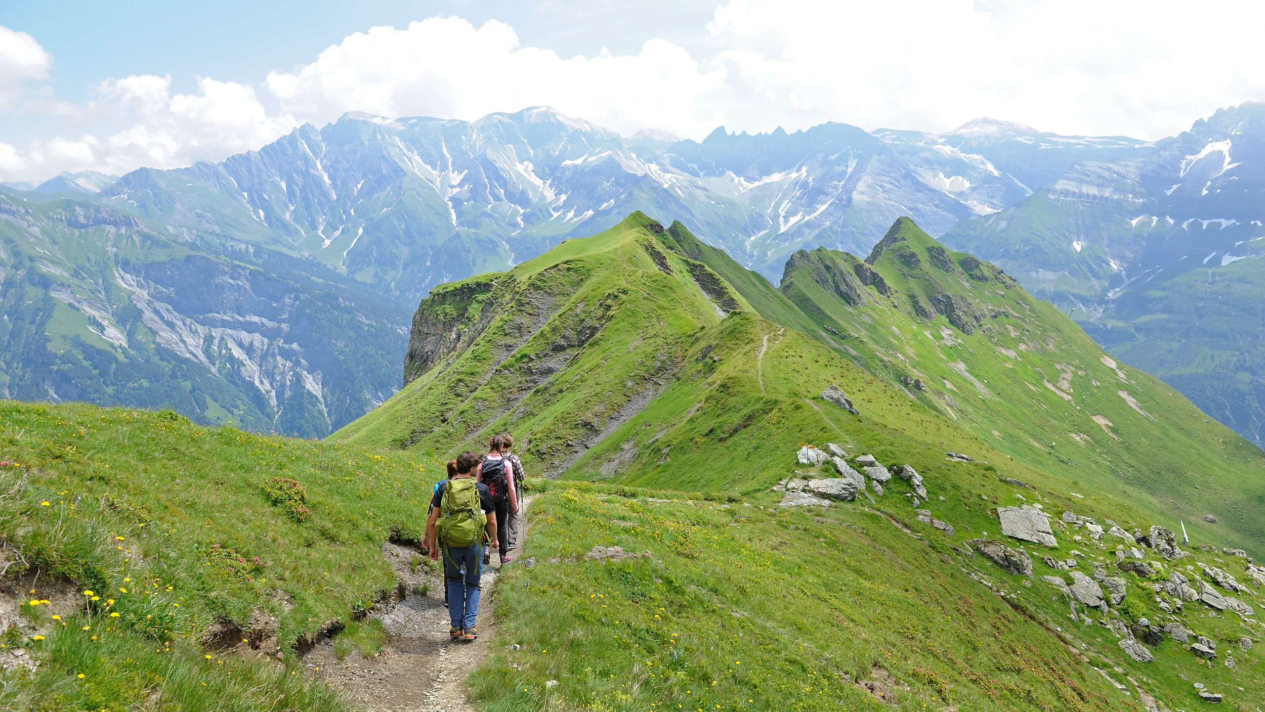 Wildmad-Rundreise (Ab 07.06.2025!)